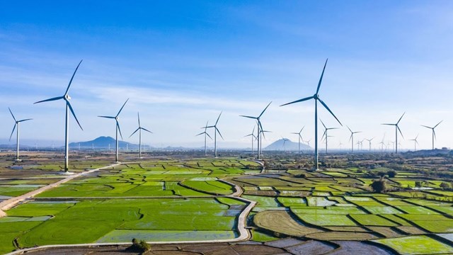 Quảng Trị mở đường cho dự án 9.127 tỷ, khai thác "kho báu trời cho" - Ảnh 1