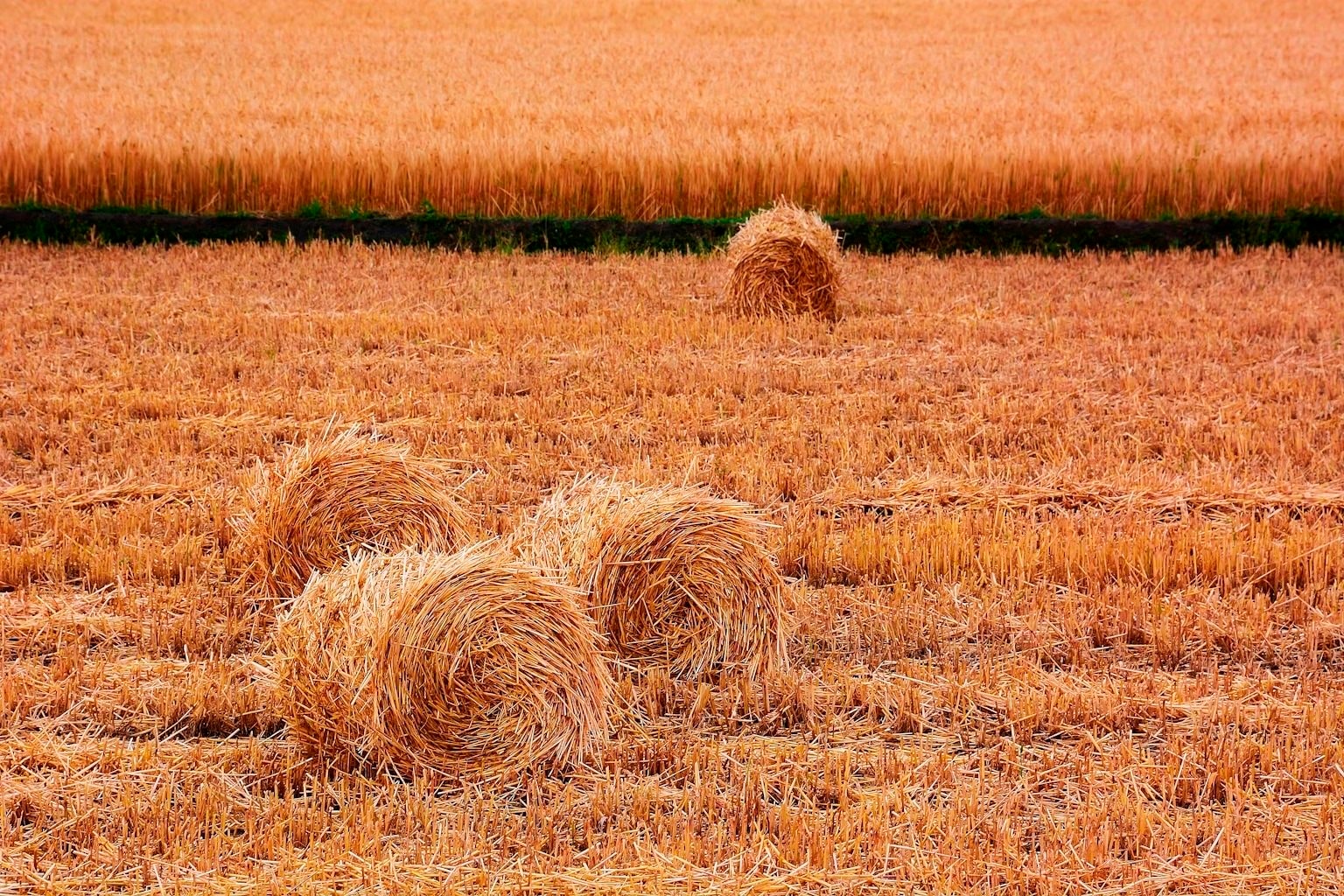 Việt Nam cùng khai thác "mỏ vàng" sản lượng gần 100 triệu tấn mỗi năm - Ảnh 1