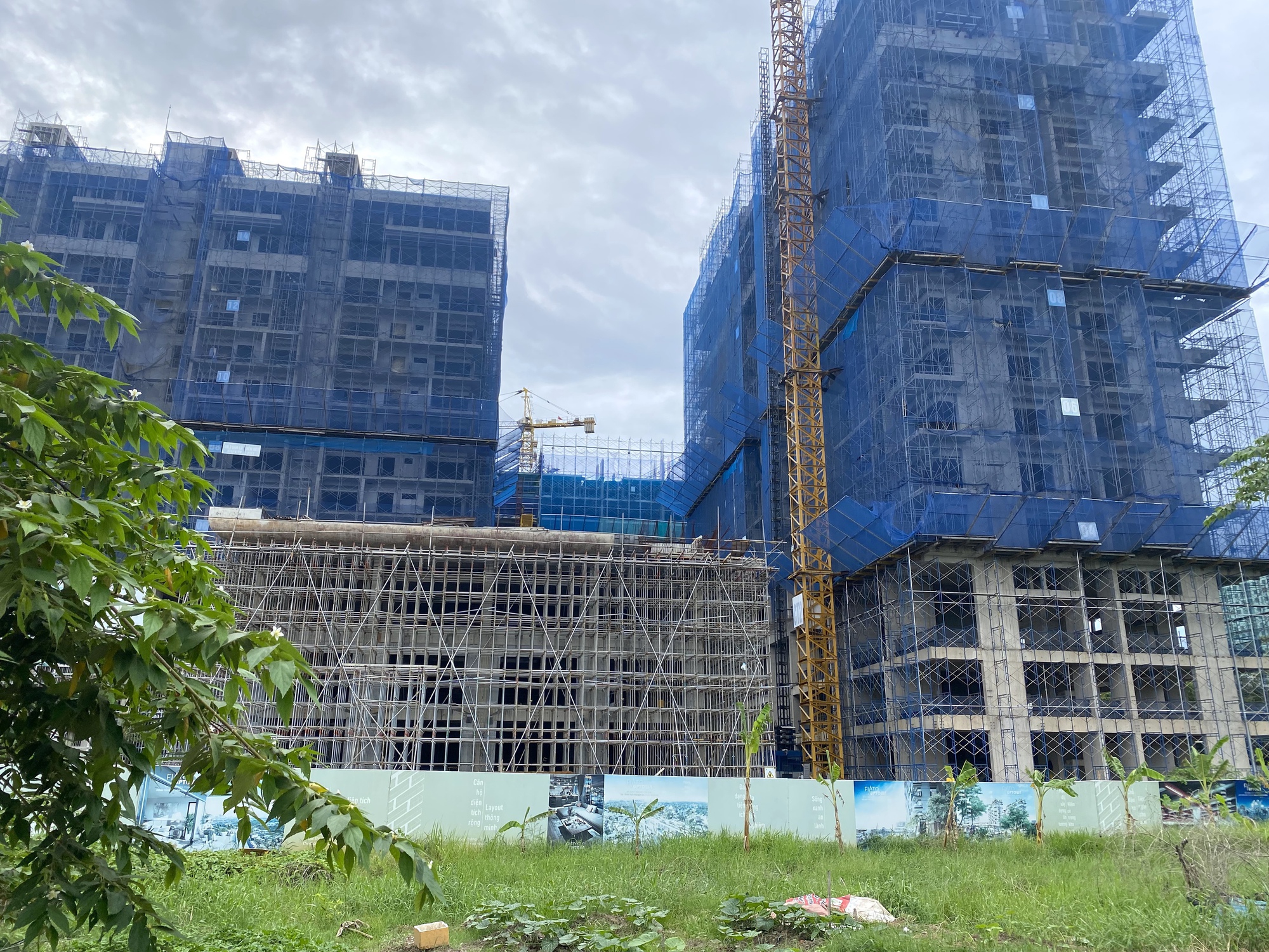 TP HCM: 54 tổ chức được thí điểm nhận đất nông nghiệp làm nhà ở thương mại - Ảnh 1