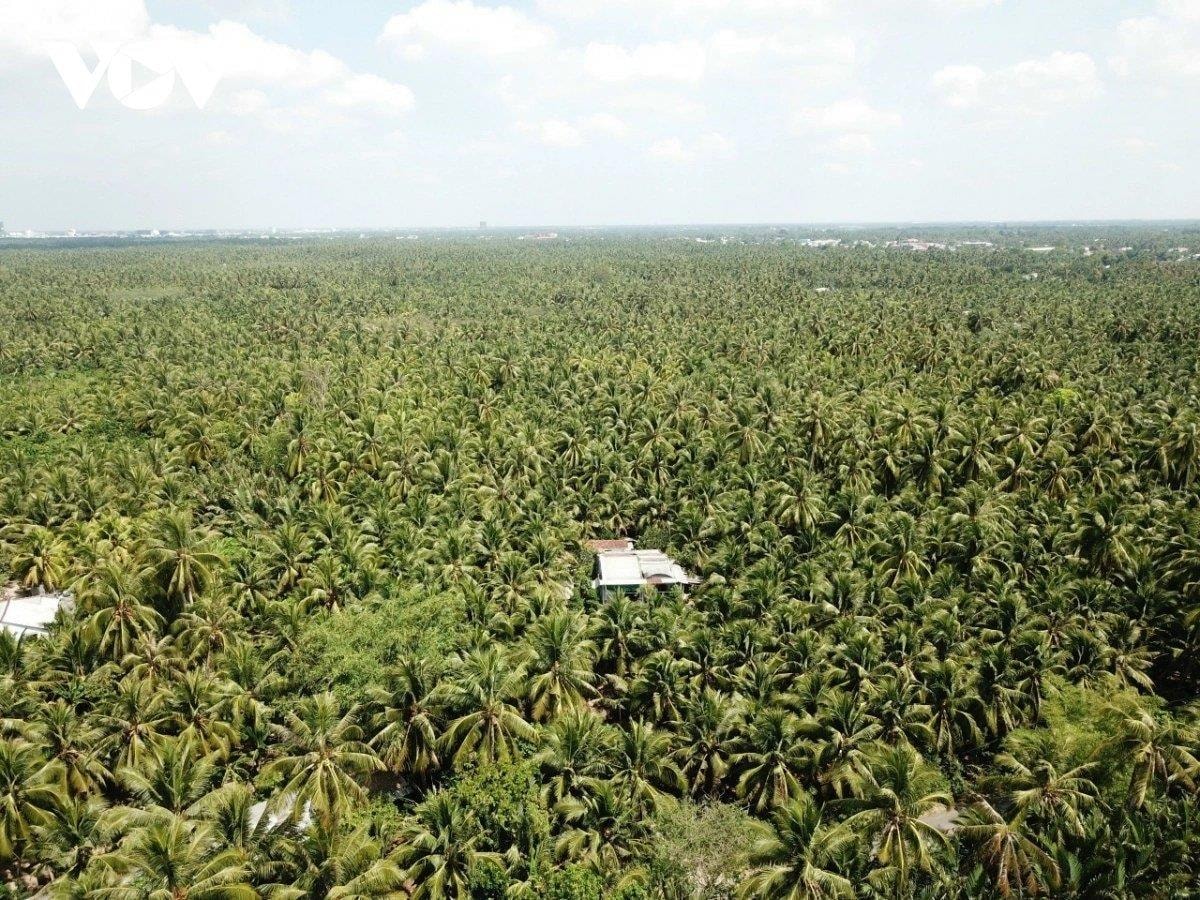 Đặc sản triệu đô của Việt Nam bất ngờ lao dốc cực mạnh: Vì sao nên nỗi? - Ảnh 2