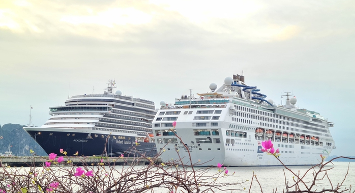 Hai siêu du thuyền hạng sang đưa 3.100 khách du lịch quốc tế đến Quảng Ninh - Ảnh 1