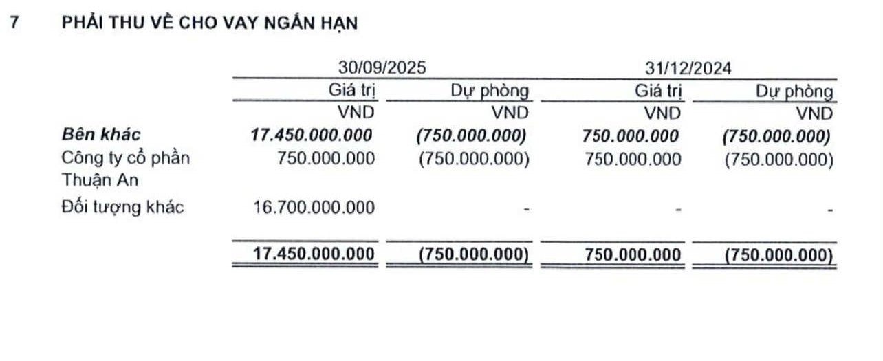 CTCP ROX Key (HOSE: TN1) mạnh tay cho vay sau khi phát hành trái phiếu để trả nợ - Ảnh 2