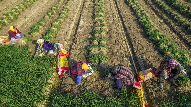 Bị phương Tây mạnh tay áp thuế xe điện, Trung Quốc lập tức tung món ‘võ cổ truyền’ từng trăm trận trăm thắng - bây giờ ai mới đang gặp áp lực? - Ảnh 1