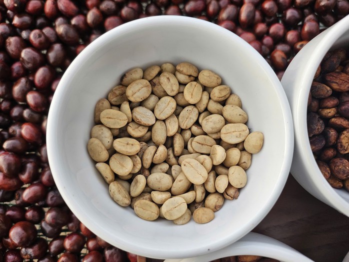 Giá cà phê hôm nay 23-11: Một tuần bão tố - Ảnh 1