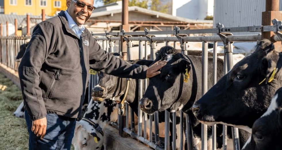 GS Mỹ "hiến kế" giúp VN có thể chinh phục ngành kinh tế hơn 3.000 tỷ USD, tạo ra hàng triệu việc làm - Ảnh 5