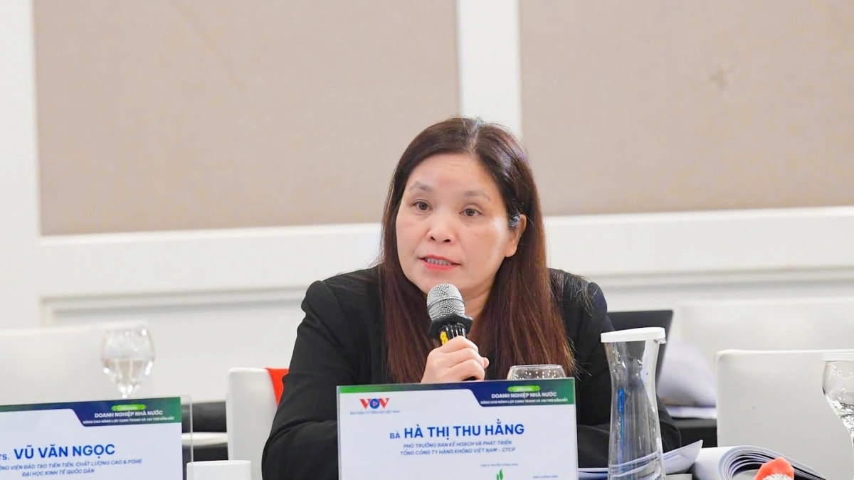 Phó trưởng ban kế hoạch Vietnam Airlines: Chúng tôi lãi nghìn tỷ nhưng ban lãnh đạo không được chi thưởng - Ảnh 1