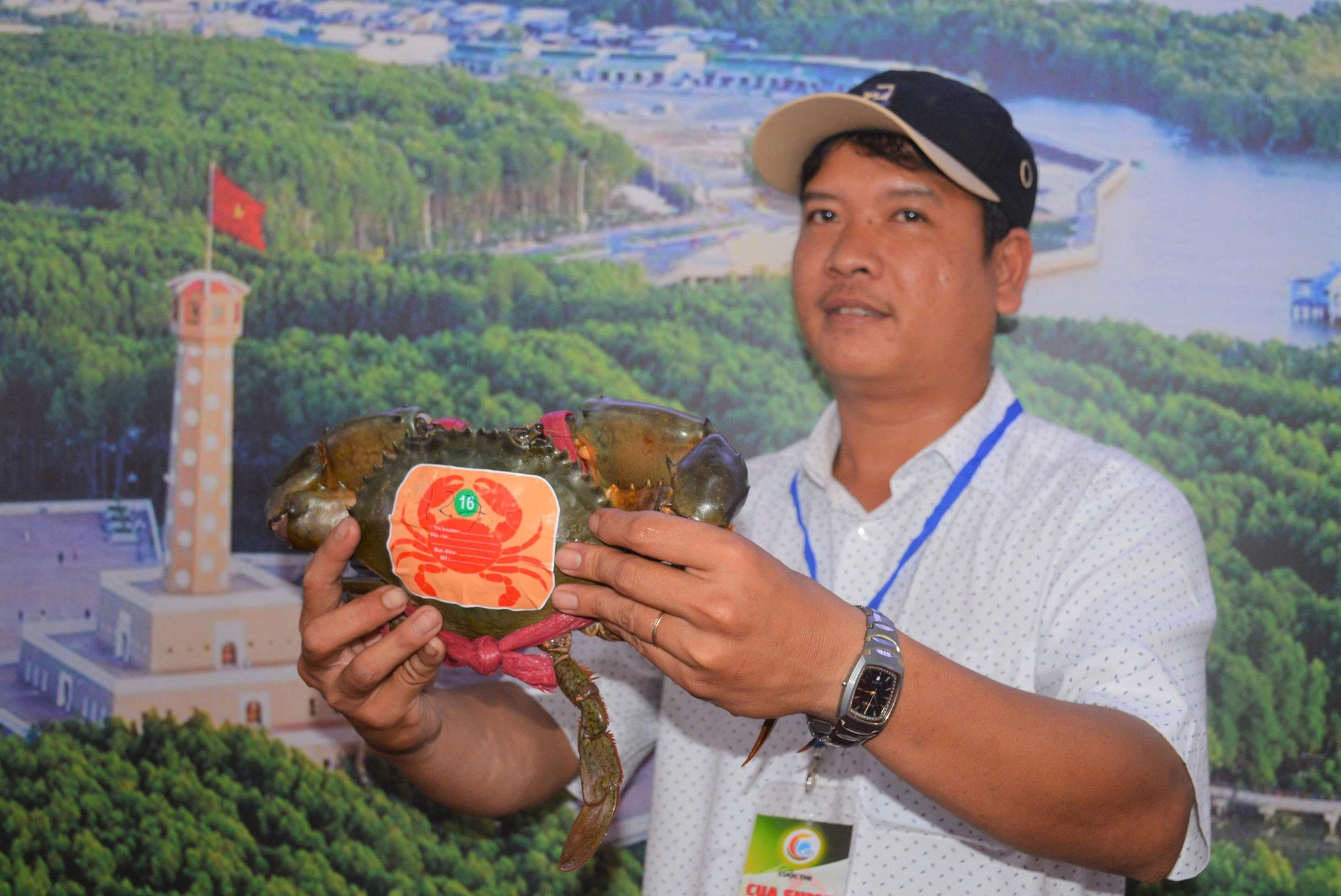 Sắp diễn ra ngày hội cua, cua biển Cà Mau tăng giá mạnh - Ảnh 1