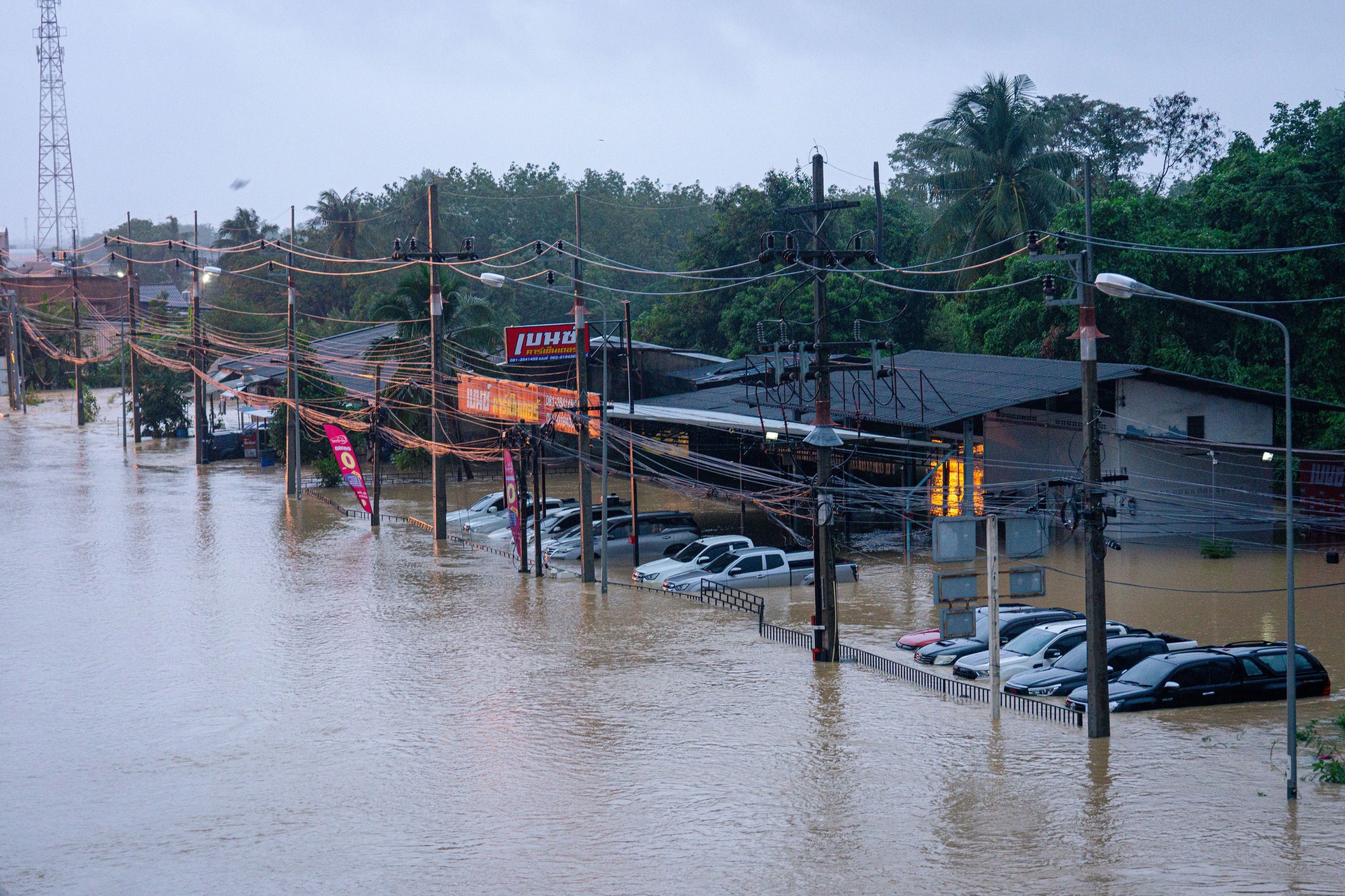 Thái Lan ban bố tình trạng khẩn cấp quốc gia tại Songkhla vì lũ lụt "300 năm mới có một lần" - Ảnh 6