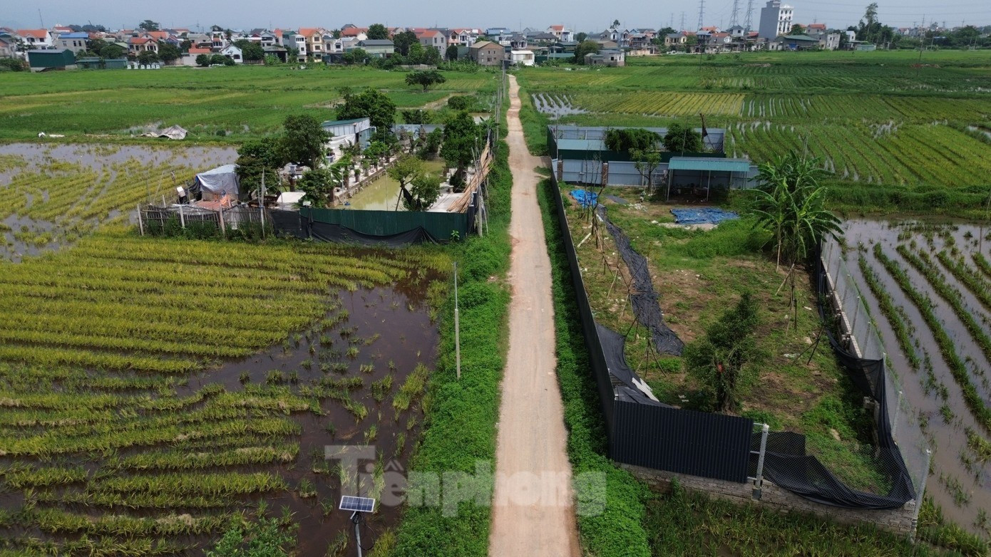 Gỡ vướng mắc chuyển mục đích sử dụng đất ở - Ảnh 1