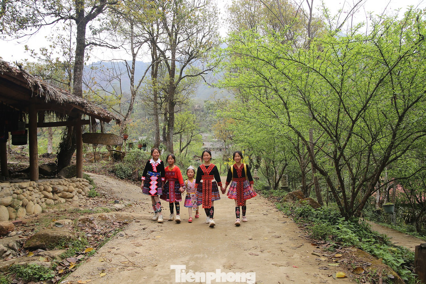 Tour du lịch tăng mạnh, vé máy bay, tàu xe Tết có căng thẳng? - Ảnh 3