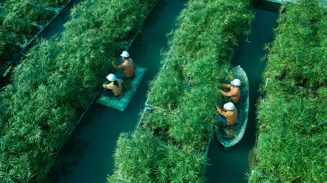 Giá vonfram lập đỉnh mới, tác động tích cực đến doanh nghiệp khoáng sản Việt - Ảnh 3