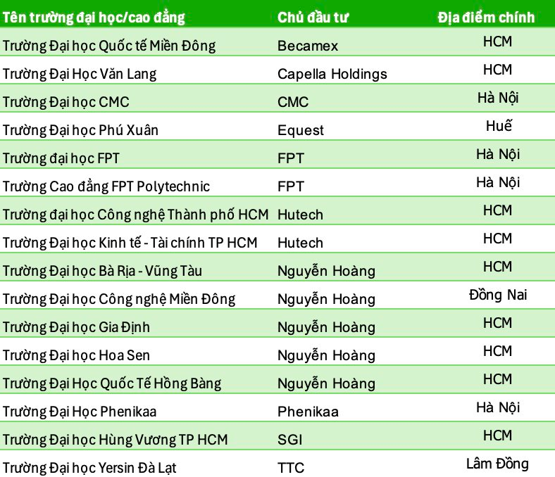 Làn sóng sở hữu trường tư của các tập đoàn lớn tại Việt Nam - Ảnh 2