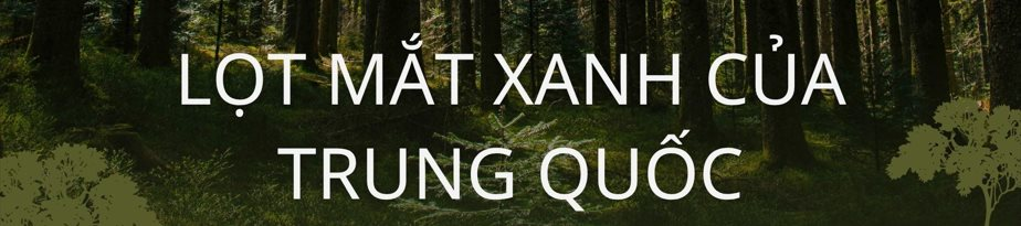 Không phải vàng hay dầu, nền kinh tế trên 200 triệu dân săn lùng ‘kho báu’ trải dài 400 km sâu dưới rừng nhằm dắt lưng 'vũ khí' giữa thương chiến, Trung Quốc ngỏ ý tham gia - Ảnh 5