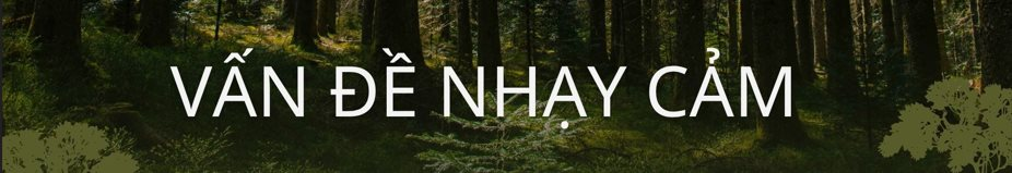 Không phải vàng hay dầu, nền kinh tế trên 200 triệu dân săn lùng ‘kho báu’ trải dài 400 km sâu dưới rừng nhằm dắt lưng 'vũ khí' giữa thương chiến, Trung Quốc ngỏ ý tham gia - Ảnh 7