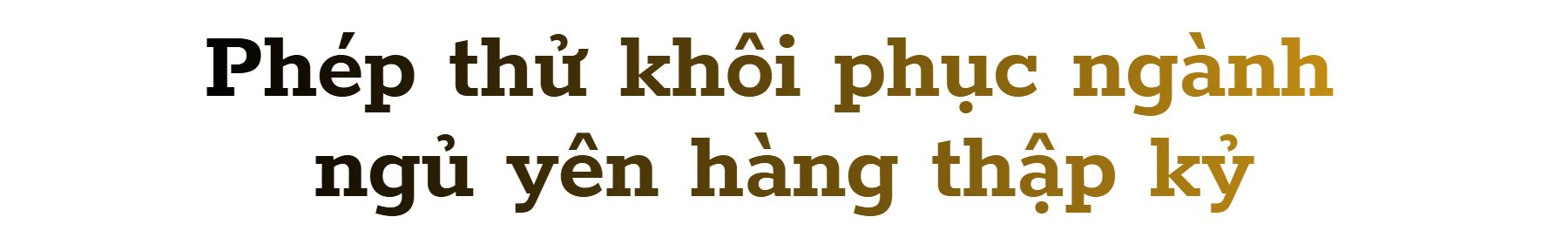 Hứng đòn đau vì Trung Quốc chặn mặt hàng Mỹ không thể sản xuất dù chỉ 1 gram, người dân bỏ qua cả vàng để săn lùng kho báu: Liệu có thoát phụ thuộc Bắc Kinh? - Ảnh 4