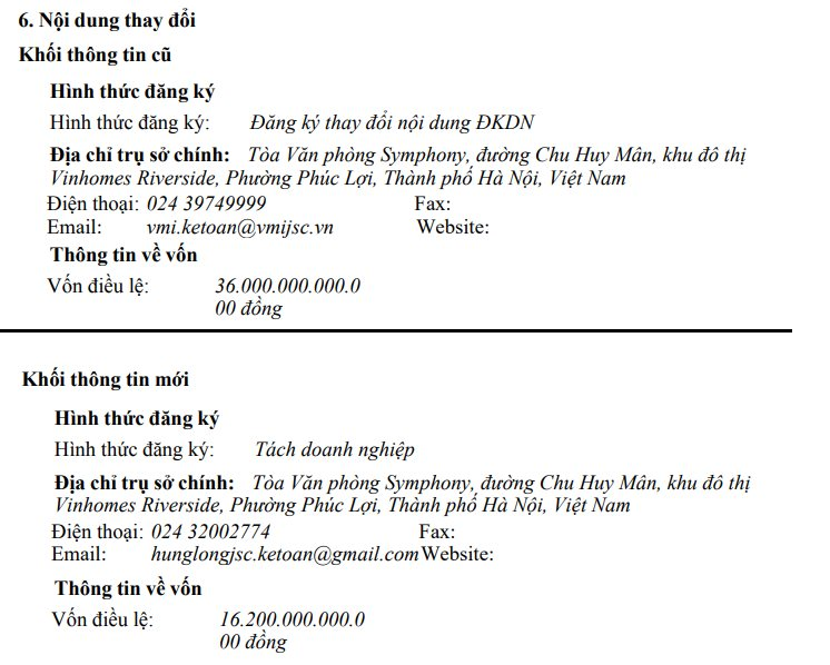 Tỷ phú Phạm Nhật Vượng sáp nhập Bất động sản VMI 16.200 tỷ đồng vào VinSpeed, 1 VMI vẫn tồn tại với 1.800 tỷ đồng - Ảnh 2