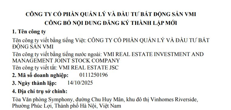 Tỷ phú Phạm Nhật Vượng sáp nhập Bất động sản VMI 16.200 tỷ đồng vào VinSpeed, 1 VMI vẫn tồn tại với 1.800 tỷ đồng - Ảnh 3