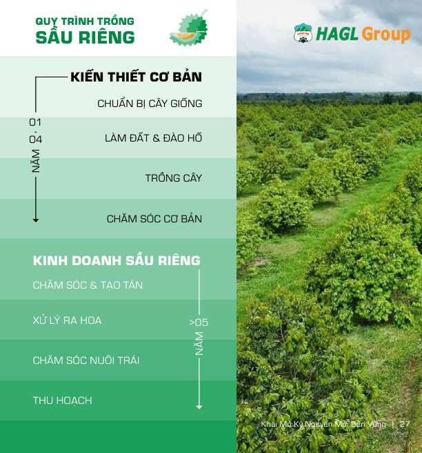 Xuất khẩu sầu riêng Việt từng sụt 69,4% vì rào cản Cadimi, Bầu Đức lộ 'át chủ bài': 1.600 ha ở Lào và kho lạnh 20.000 m² làm sầu riêng cấp đông chờ bán trái vụ giá cao hơn 50% - Ảnh 1