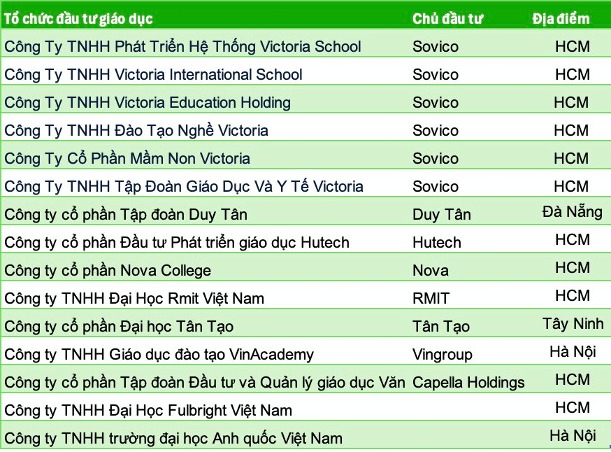 Làn sóng sở hữu trường tư của các tập đoàn lớn tại Việt Nam - Ảnh 3