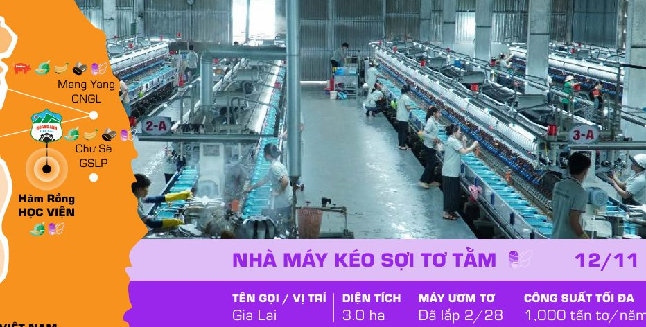 Bên trong nhà máy sợi tơ tằm xuất khẩu giá 1,6 triệu đồng/kg của Bầu Đức có gì? - Ảnh 3