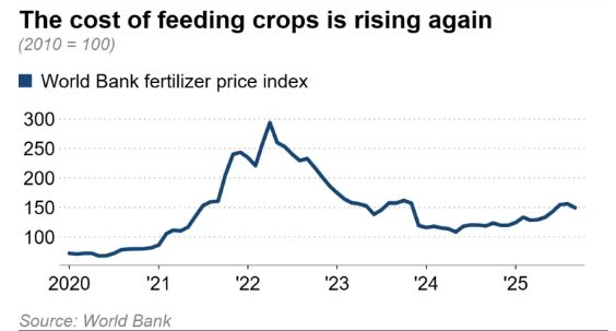 Sau đất hiếm, Trung Quốc siết xuất khẩu mặt hàng góp phần nuôi sống thế giới, làm rung chuyển thị trường lương thực toàn cầu - Ảnh 2