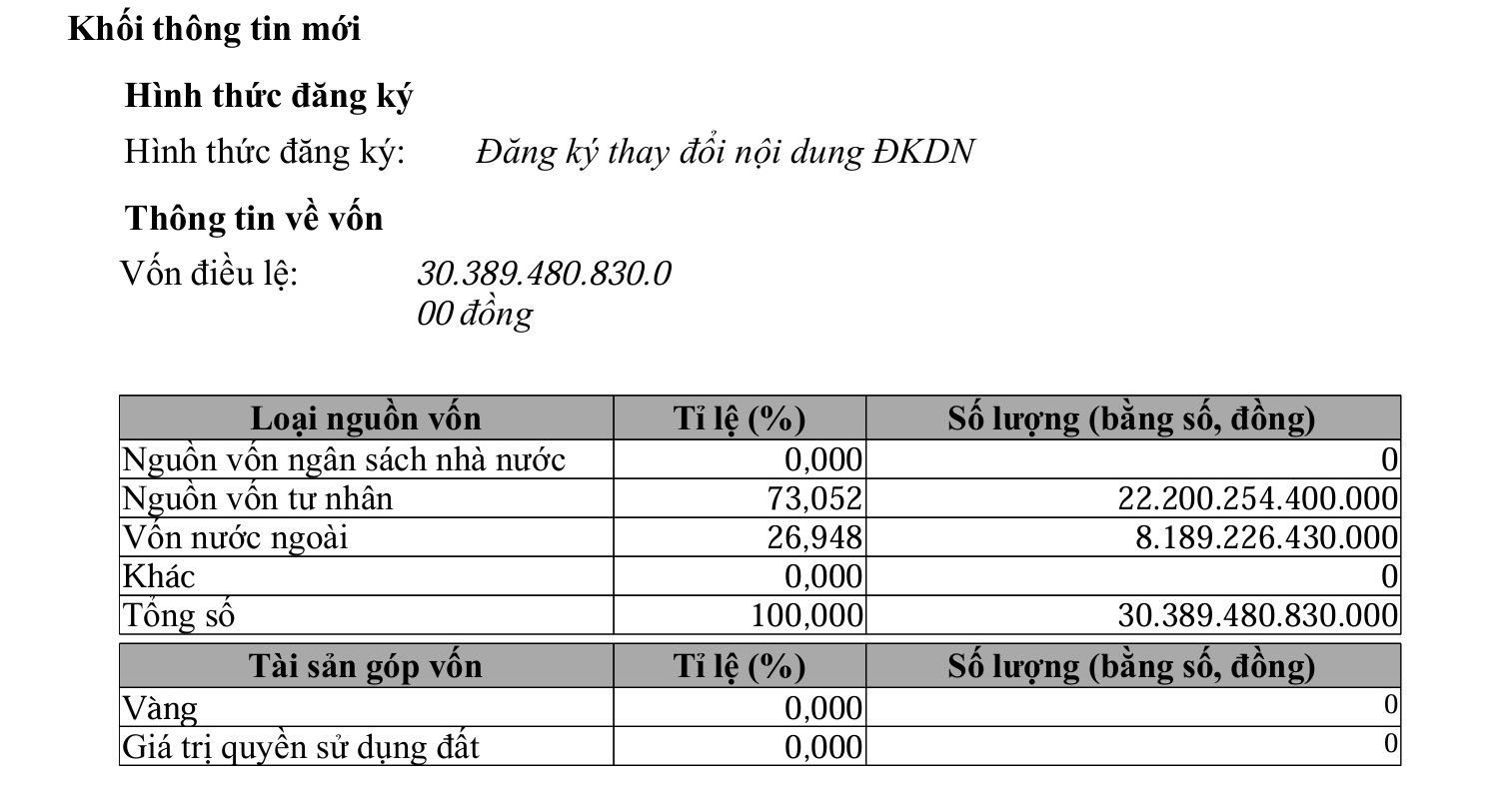 THACO bất ngờ giảm vốn điều lệ, khối ngoại không đổi - Ảnh 1