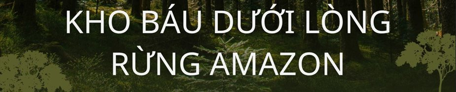 Không phải vàng hay dầu, nền kinh tế trên 200 triệu dân săn lùng ‘kho báu’ trải dài 400 km sâu dưới rừng nhằm dắt lưng 'vũ khí' giữa thương chiến, Trung Quốc ngỏ ý tham gia - Ảnh 2