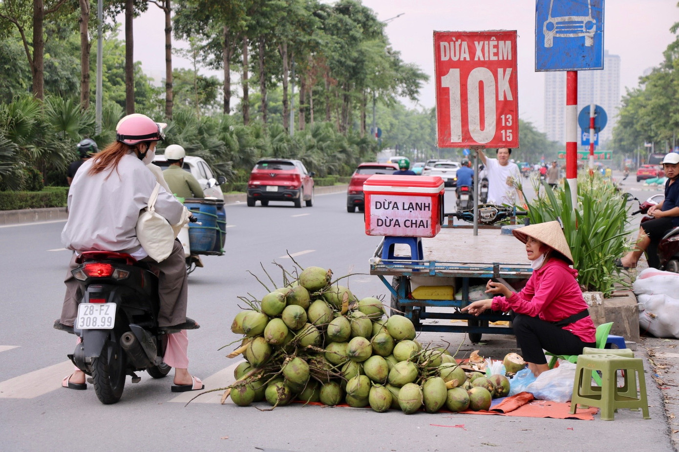 Dừa xiêm 7.000 đồng bán tràn ngập Hà Nội - Ảnh 3