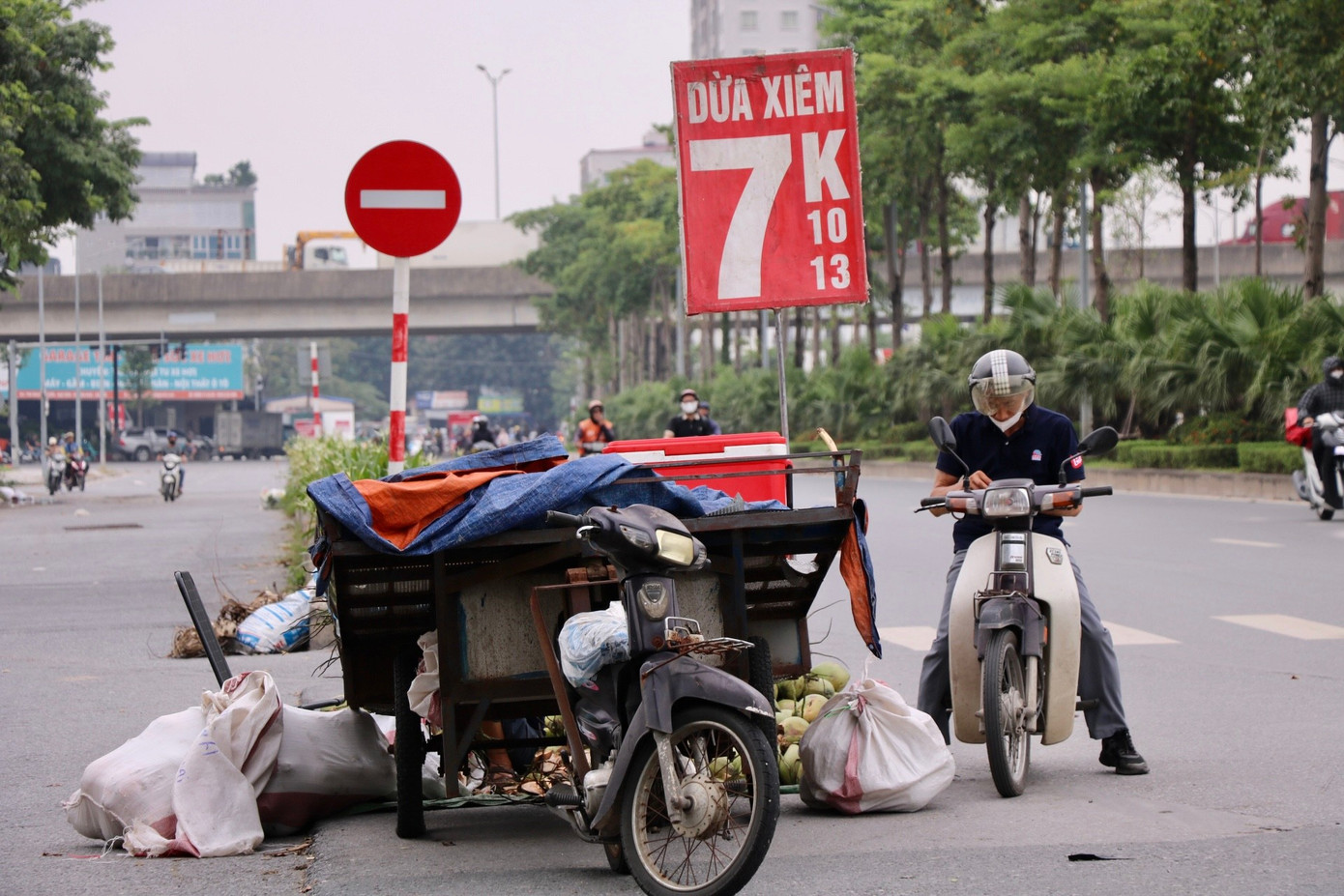 Dừa xiêm 7.000 đồng bán tràn ngập Hà Nội - Ảnh 1