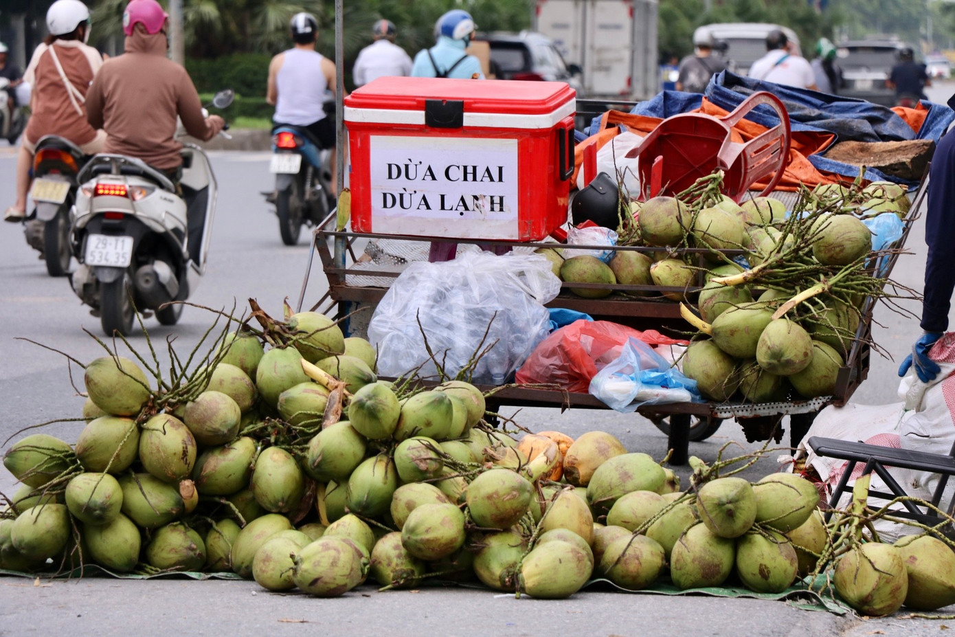 Dừa xiêm 7.000 đồng bán tràn ngập Hà Nội - Ảnh 2