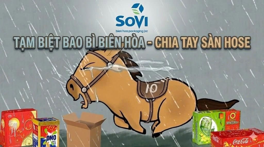 Hơn 94% cổ phần về tay người Thái, một doanh nghiệp bao bì lâu đời của Việt Nam xin huỷ niêm yết - Ảnh 1