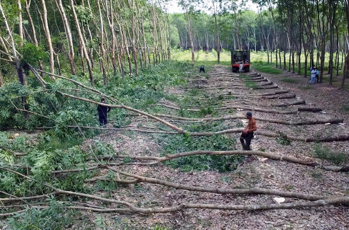 Đồng Nai: Phê bình UBND xã Đồng Tâm, Tân Lợi, Nghĩa Trung - Ảnh 1