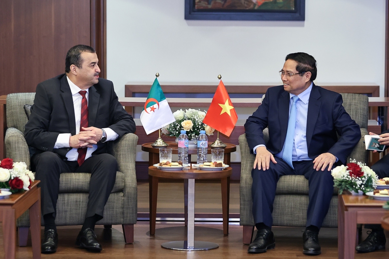 Thủ tướng đề nghị Bộ Dầu khí và Mỏ Algeria thúc đẩy các dự án cụ thể với Việt Nam - Ảnh 2