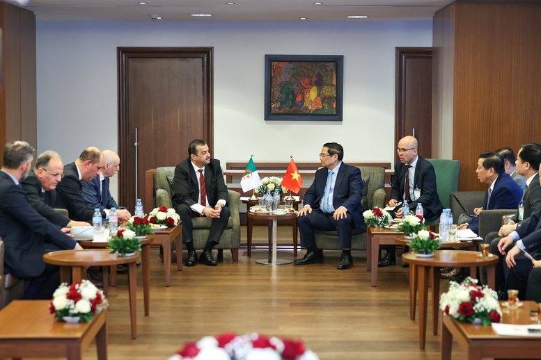Thủ tướng đề nghị Bộ Dầu khí và Mỏ Algeria thúc đẩy các dự án cụ thể với Việt Nam - Ảnh 3