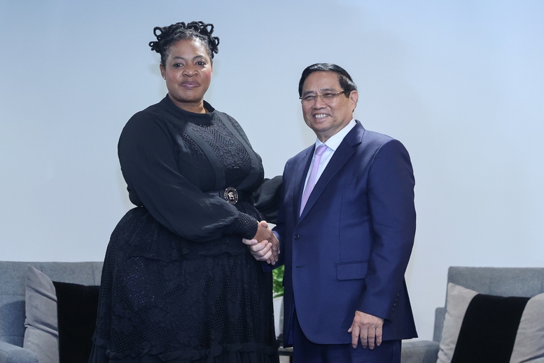 Thủ tướng kết nối hợp tác giữa hai tập đoàn dầu khí quốc gia của Việt Nam, Nam Phi - Ảnh 1