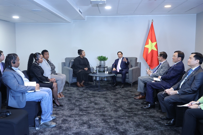 Thủ tướng kết nối hợp tác giữa hai tập đoàn dầu khí quốc gia của Việt Nam, Nam Phi - Ảnh 3