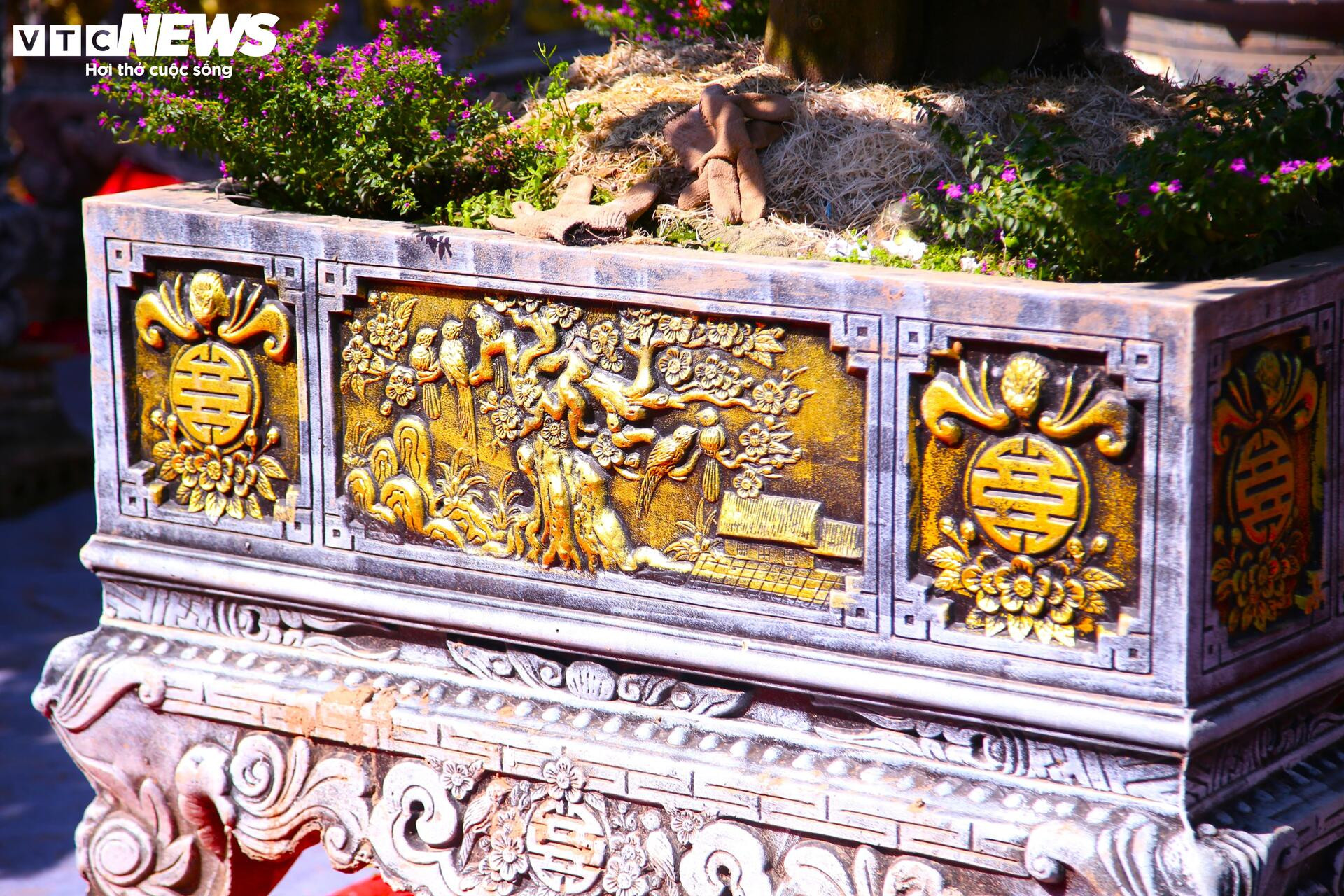 Bưởi Diễn hàng chục triệu đồng sẵn sàng chờ khách 'rước' về chơi Tết - Ảnh 5