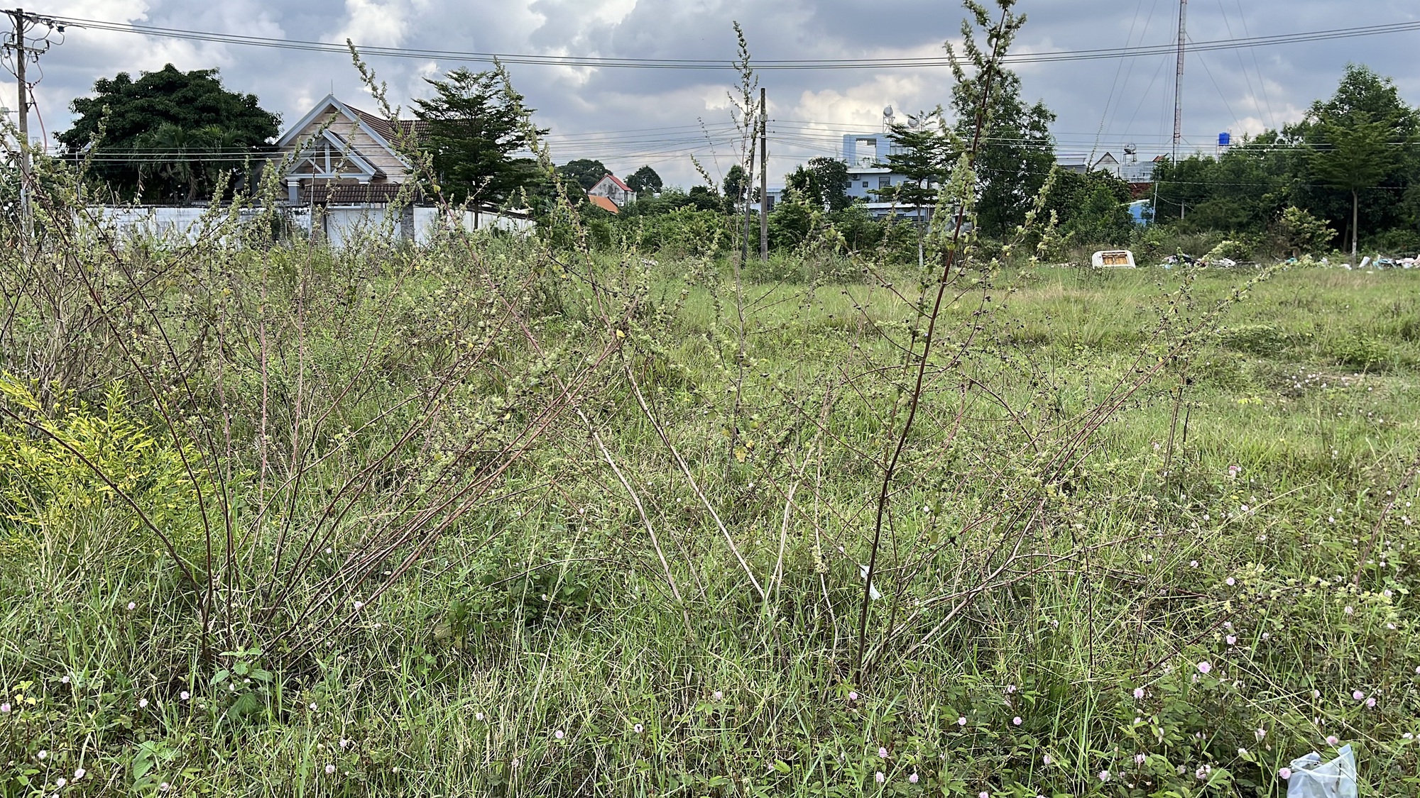 Cận cảnh hiện trạng khu dân cư bị kết luận thanh tra "vi phạm" ở Đồng Nai - Ảnh 6