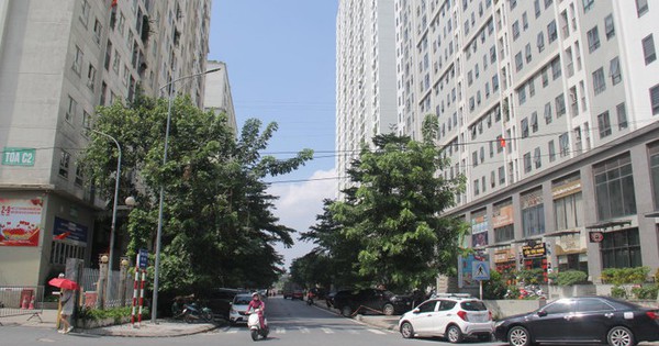 Những người giới thiệu ‘sân sau’ chủ đầu tư bán nhà ở xã hội