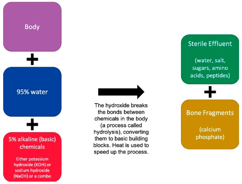 Liệu hỏa táng bằng nước có trở thành cách an táng mới của người Mỹ? - Ảnh 2
