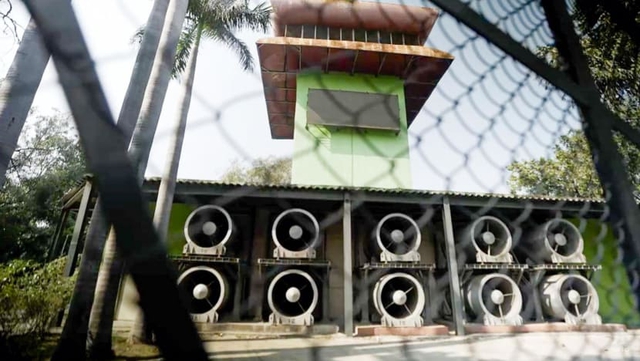 74/100: Con số kinh hoàng tại Ấn Độ - Ảnh 6