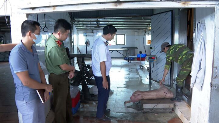 Khởi tố chủ cơ sở chăn nuôi ở Hưng Yên tuồn lợn bệnh ra thị trường - Ảnh 1