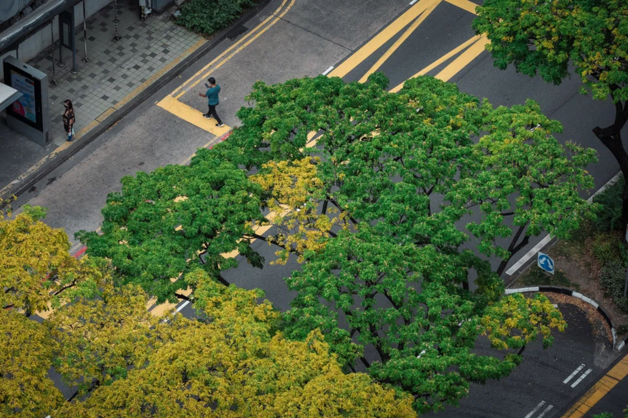 Bài toán 1,3 ngàn tỉ USD của Liên hợp quốc - Ảnh 1