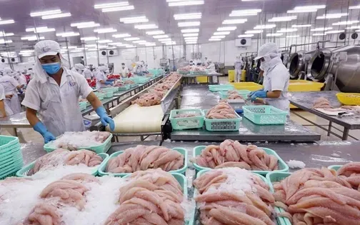 Xuất khẩu thủy sản cả năm dự báo đạt 10,5 tỷ USD - Ảnh 1