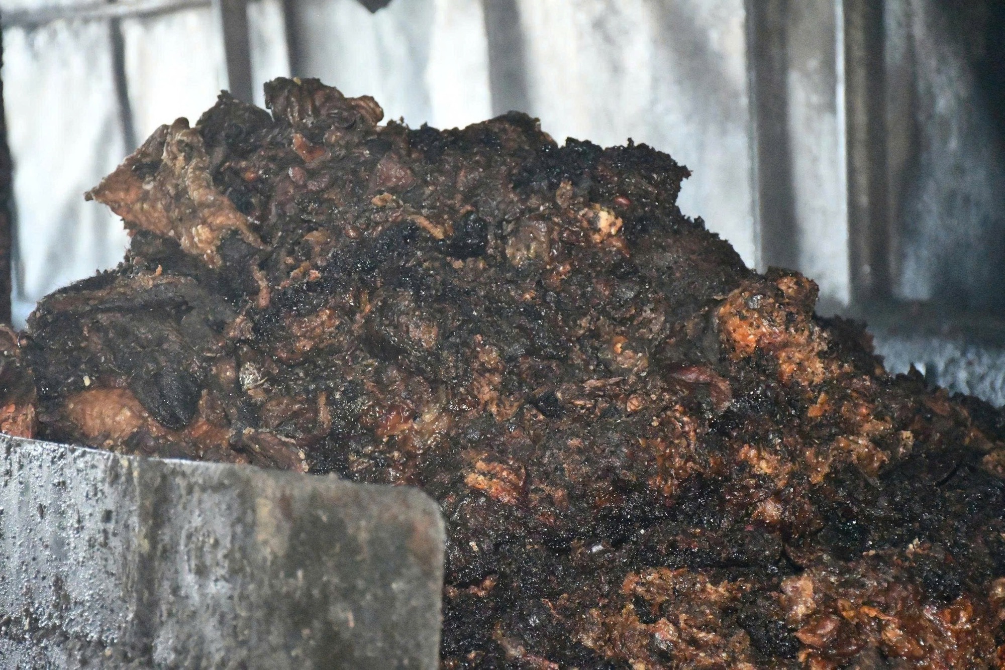 Cận cảnh cơ sở chế biến mỡ quy mô lớn, ẩn mình trong khu nghĩa trang - Ảnh 5