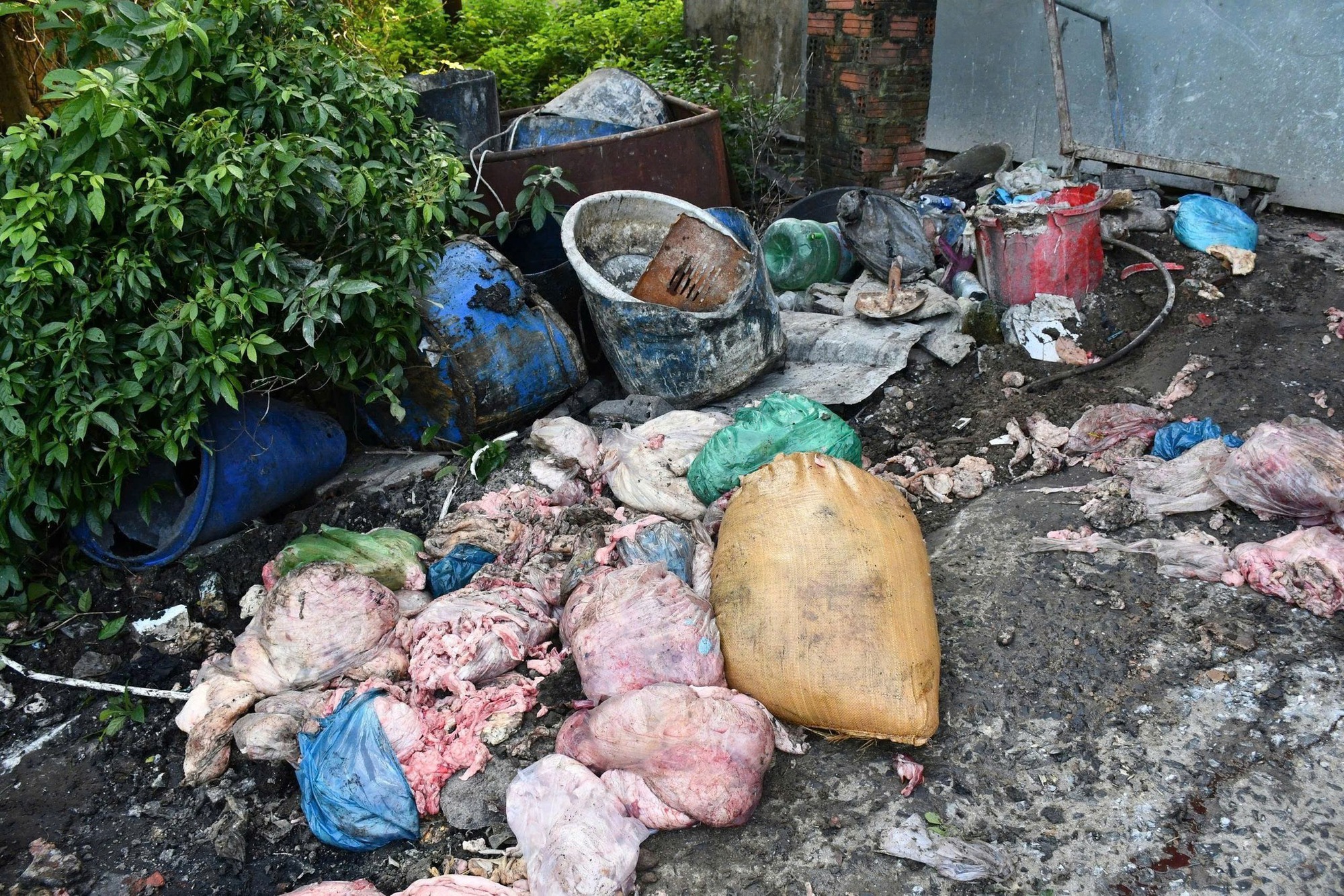 Cận cảnh cơ sở chế biến mỡ quy mô lớn, ẩn mình trong khu nghĩa trang - Ảnh 6