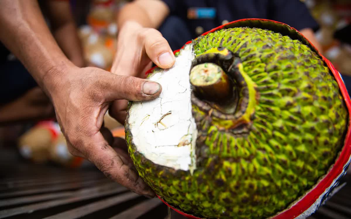 Mít tươi xuất khẩu chính ngạch sang Trung Quốc - Ảnh 1