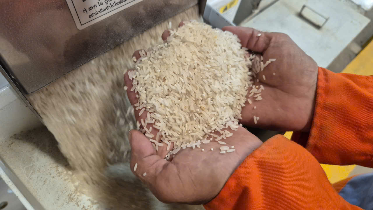 Những loại gạo nào có cơ hội ở thị trường nhập khẩu gạo tới 90%? - Ảnh 1