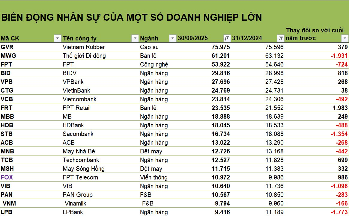 Làn sóng 'cắt' nhân sự 9T2025: 1 công ty giảm gần 2.500 người, 3 ngân hàng giảm hơn 1.000 người, FPT Retail tăng gần 2.000 người - Ảnh 1