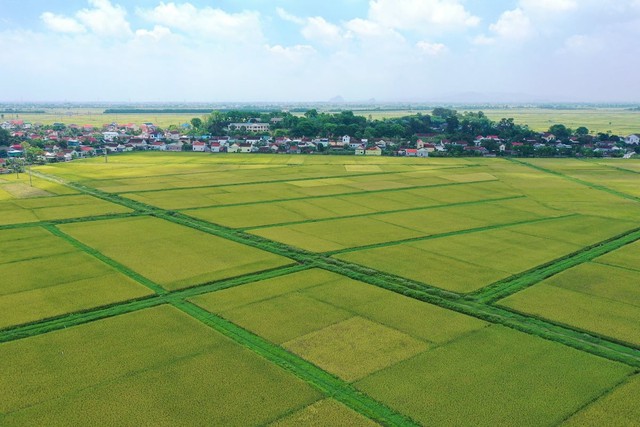 Đối tượng nào được miễn thuế sử dụng đất nông nghiệp đến hết năm 2030? - Ảnh 1